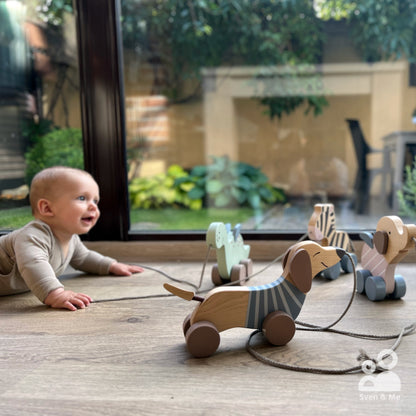 Wooden pull toy Dachshund